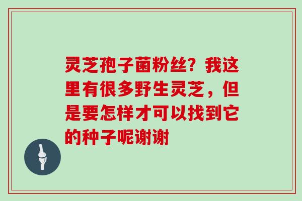 灵芝孢子菌粉丝?我这里有很多野生灵芝,但是要怎样才可以找到它的种子呢谢谢 灵芝孢子菌粉丝?我这里有很多野生灵芝,但是要怎样才可以找到它的种子呢谢谢