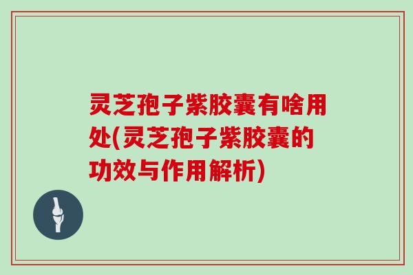 灵芝孢子紫胶囊有啥用处(灵芝孢子紫胶囊的功效与作用解析)