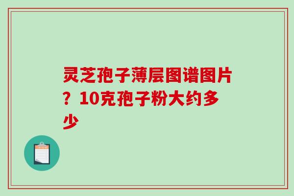 灵芝孢子薄层图谱图片?10克孢子粉大约多少 灵芝孢子薄层图谱图片?10克孢子粉大约多少