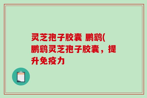 灵芝孢子胶囊 鹏鹞(鹏鹞灵芝孢子胶囊,提升免疫力 灵芝孢子胶囊 鹏鹞(鹏鹞灵芝孢子胶囊,提升免疫力