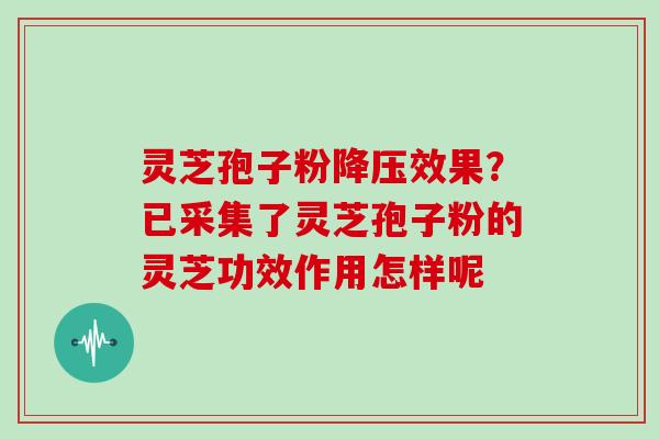 灵芝孢子粉效果？已采集了灵芝孢子粉的灵芝功效作用怎样呢