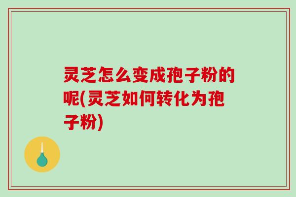 灵芝怎么变成孢子粉的呢(灵芝如何转化为孢子粉)