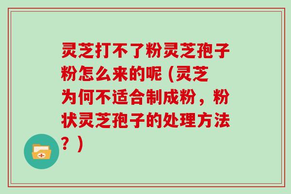 灵芝打不了粉灵芝孢子粉怎么来的呢 (灵芝为何不适合制成粉，粉状灵芝孢子的处理方法？)
