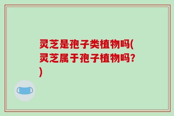 灵芝是孢子类植物吗(灵芝属于孢子植物吗？)