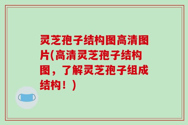 灵芝孢子结构图高清图片(高清灵芝孢子结构图,了解灵芝孢子组成结构!) 灵芝孢子结构图高清图片(高清灵芝孢子结构图,了解灵芝孢子组成结构!)
