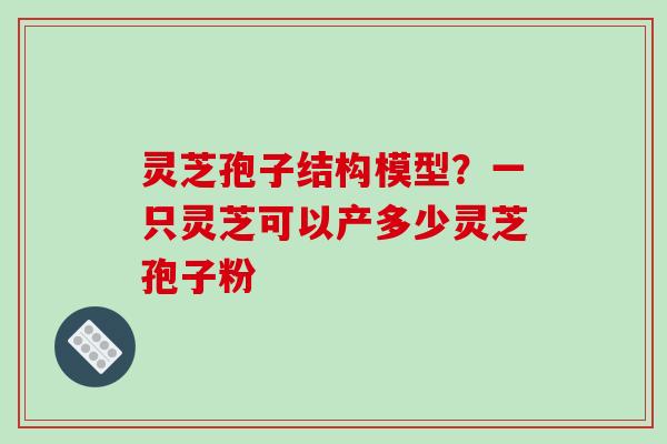 灵芝孢子结构模型？一只灵芝可以产多少灵芝孢子粉