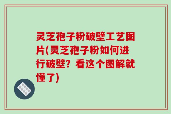 灵芝孢子粉破壁工艺图片(灵芝孢子粉如何进行破壁？看这个图解就懂了)