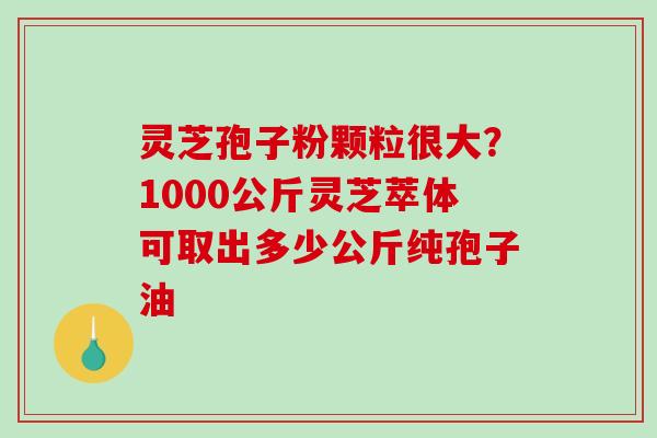 灵芝孢子粉颗粒很大？1000公斤灵芝萃体可取出多少公斤纯孢子油