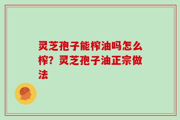 灵芝孢子能榨油吗怎么榨？灵芝孢子油正宗做法
