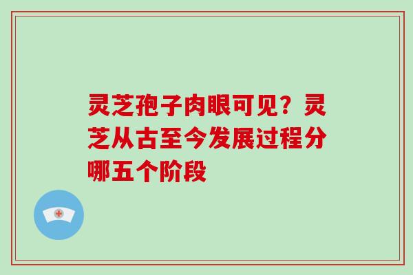 灵芝孢子肉眼可见？灵芝从古至今发展过程分哪五个阶段