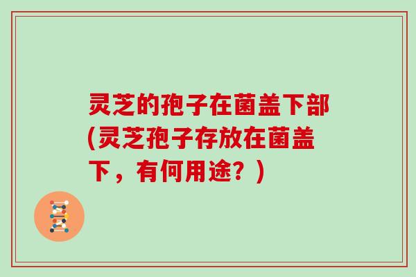 灵芝的孢子在菌盖下部(灵芝孢子存放在菌盖下，有何用途？)
