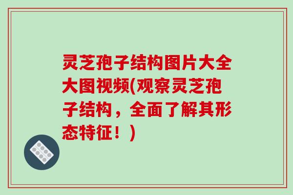 灵芝孢子结构图片大全大图视频(观察灵芝孢子结构,全面了解其形态特征!) 灵芝孢子结构图片大全大图视频(观察灵芝孢子结构,全面了解其形态特征!)
