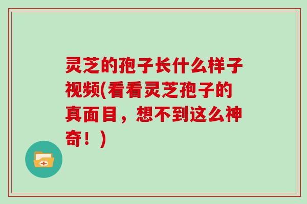 灵芝的孢子长什么样子视频(看看灵芝孢子的真面目,想不到这么神奇!) 灵芝的孢子长什么样子视频(看看灵芝孢子的真面目,想不到这么神奇!)