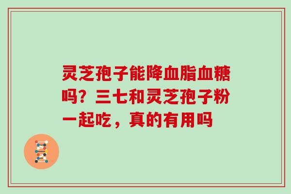 灵芝孢子能降吗?三七和灵芝孢子粉一起吃,真的有用吗 灵芝孢子能降吗?三七和灵芝孢子粉一起吃,真的有用吗