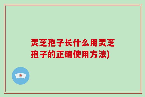 灵芝孢子长什么用灵芝孢子的正确使用方法) 灵芝孢子长什么用灵芝孢子的正确使用方法)