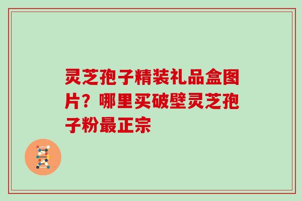 灵芝孢子精装礼品盒图片？哪里买破壁灵芝孢子粉正宗