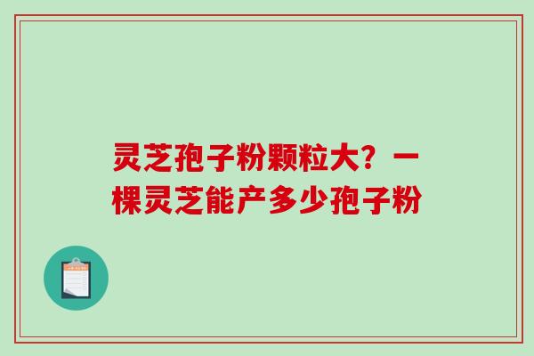 灵芝孢子粉颗粒大?一棵灵芝能产多少孢子粉 灵芝孢子粉颗粒大?一棵灵芝能产多少孢子粉