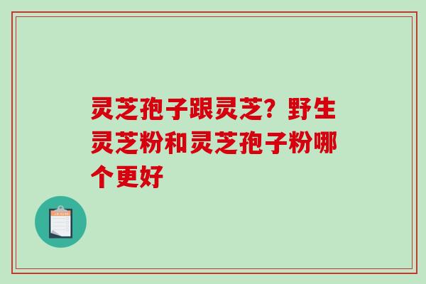 灵芝孢子跟灵芝？野生灵芝粉和灵芝孢子粉哪个更好