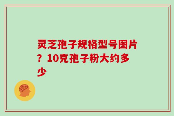 灵芝孢子规格型号图片?10克孢子粉大约多少 灵芝孢子规格型号图片?10克孢子粉大约多少