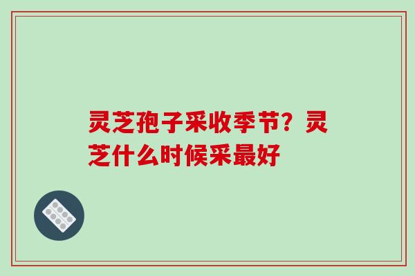灵芝孢子采收季节?灵芝什么时候采好 灵芝孢子采收季节?灵芝什么时候采好