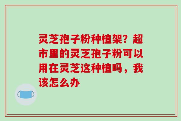 灵芝孢子粉种植架?超市里的灵芝孢子粉可以用在灵芝这种植吗,我该怎么办 灵芝孢子粉种植架?超市里的灵芝孢子粉可以用在灵芝这种植吗,我该怎么办