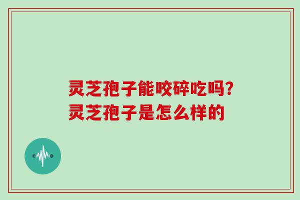 灵芝孢子能咬碎吃吗？灵芝孢子是怎么样的