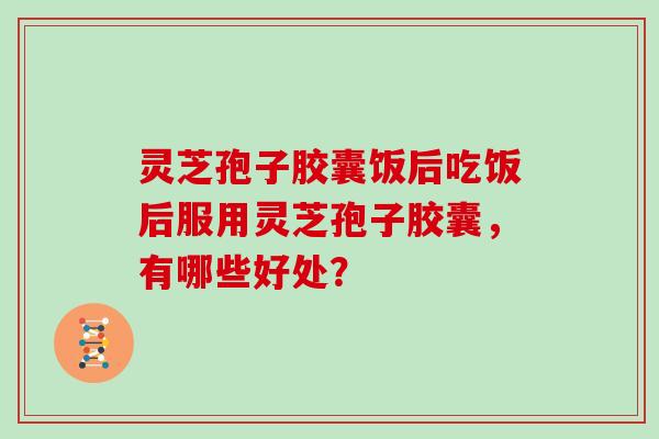 灵芝孢子胶囊饭后吃饭后服用灵芝孢子胶囊,有哪些好处? 灵芝孢子胶囊饭后吃饭后服用灵芝孢子胶囊,有哪些好处?