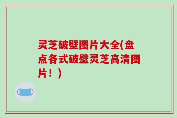 灵芝破壁图片大全(盘点各式破壁灵芝高清图片!) 灵芝破壁图片大全(盘点各式破壁灵芝高清图片!)