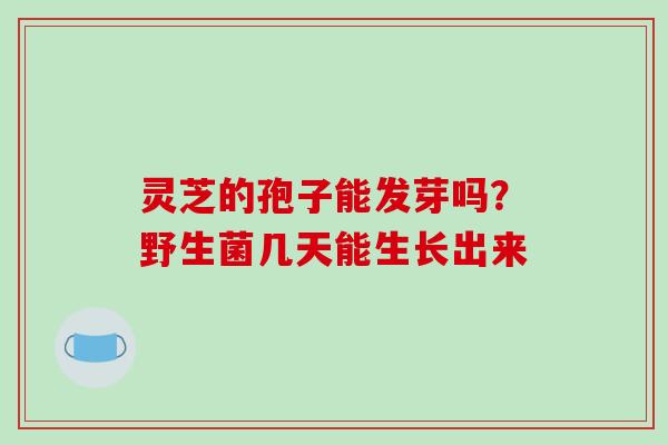 灵芝的孢子能发芽吗？野生菌几天能生长出来