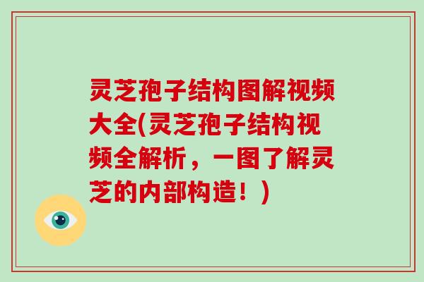 灵芝孢子结构图解视频大全(灵芝孢子结构视频全解析，一图了解灵芝的内部构造！)