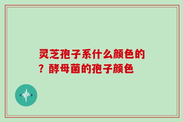 灵芝孢子系什么颜色的？酵母菌的孢子颜色