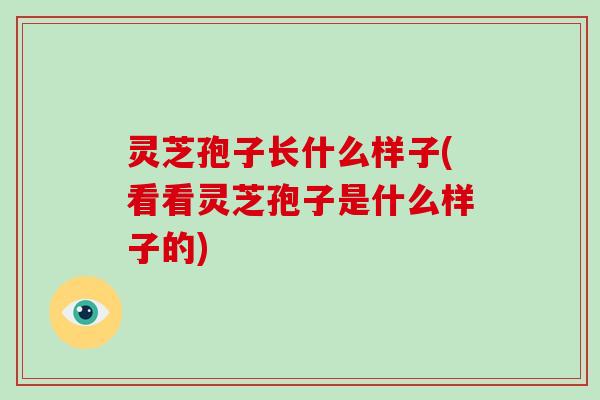 灵芝孢子长什么样子(看看灵芝孢子是什么样子的)