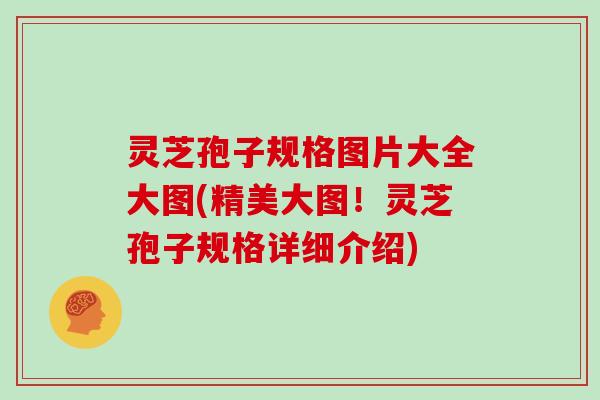 灵芝孢子规格图片大全大图(精美大图！灵芝孢子规格详细介绍)
