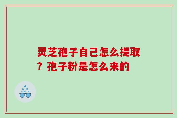 灵芝孢子自己怎么提取？孢子粉是怎么来的