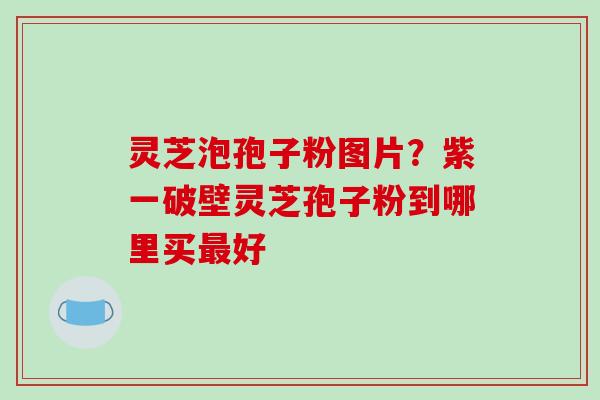 灵芝泡孢子粉图片？紫一破壁灵芝孢子粉到哪里买好