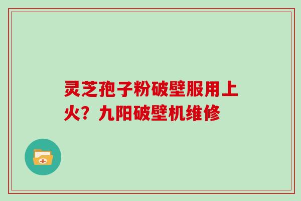 灵芝孢子粉破壁服用上火？九阳破壁机维修
