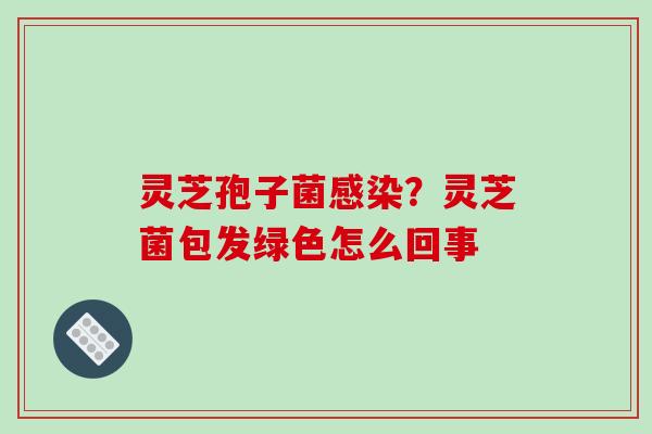灵芝孢子菌？灵芝菌包发绿色怎么回事