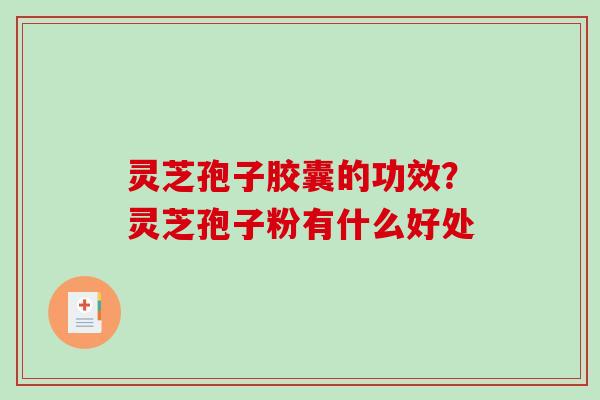 灵芝孢子胶囊的功效？灵芝孢子粉有什么好处