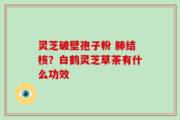 灵芝破壁孢子粉 结核？白鹤灵芝草茶有什么功效
