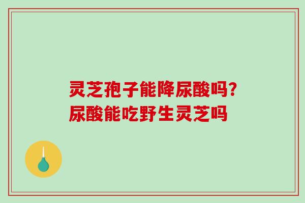 灵芝孢子能降尿酸吗？尿酸能吃野生灵芝吗