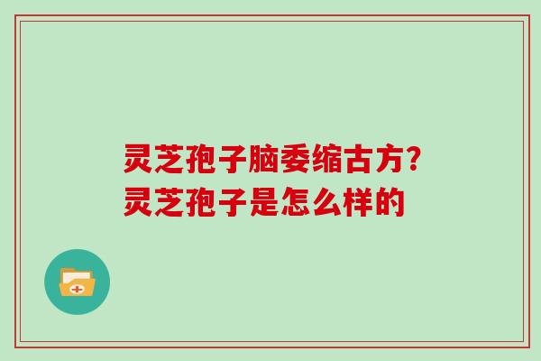 灵芝孢子脑委缩古方？灵芝孢子是怎么样的