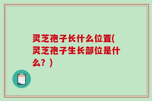 灵芝孢子长什么位置(灵芝孢子生长部位是什么？)