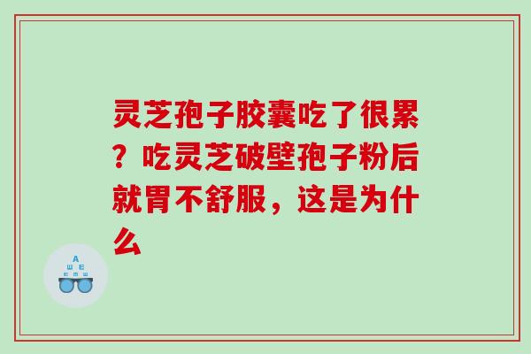 灵芝孢子胶囊吃了很累？吃灵芝破壁孢子粉后就胃不舒服，这是为什么