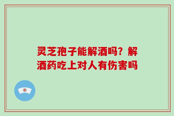 灵芝孢子能解酒吗？解酒药吃上对人有伤害吗