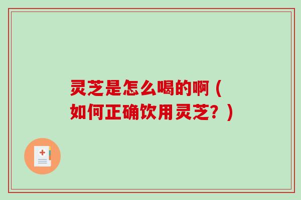 灵芝是怎么喝的啊 (如何正确饮用灵芝？)