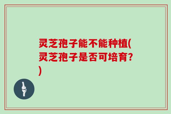 灵芝孢子能不能种植(灵芝孢子是否可培育？)