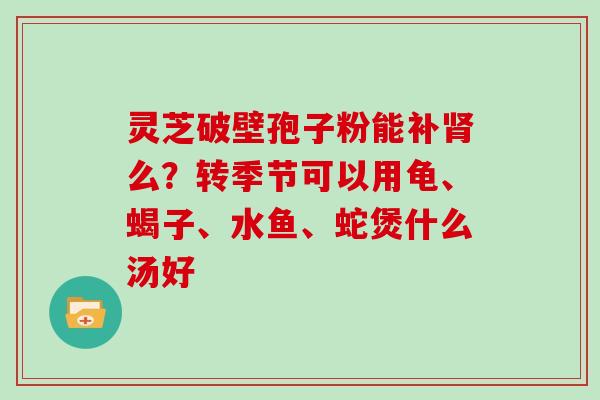 灵芝破壁孢子粉能补么？转季节可以用龟、蝎子、水鱼、蛇煲什么汤好