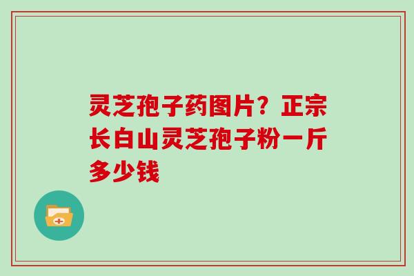 灵芝孢子药图片？正宗长白山灵芝孢子粉一斤多少钱