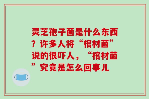 灵芝孢子菌是什么东西？许多人将“棺材菌”说的很吓人，“棺材菌”究竟是怎么回事儿