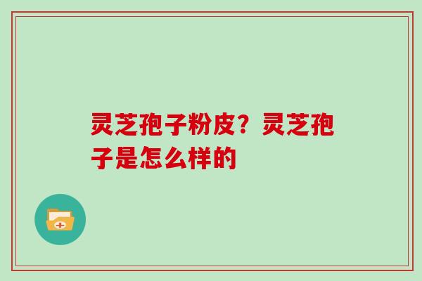 灵芝孢子粉皮?灵芝孢子是怎么样的 灵芝孢子粉皮?灵芝孢子是怎么样的
